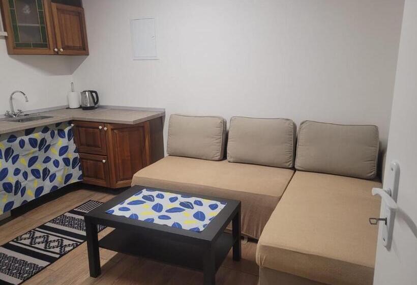 Пансион Studio Carolina