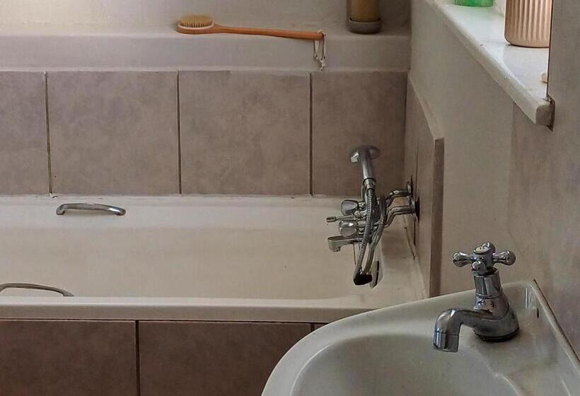 بنسيون The Old School