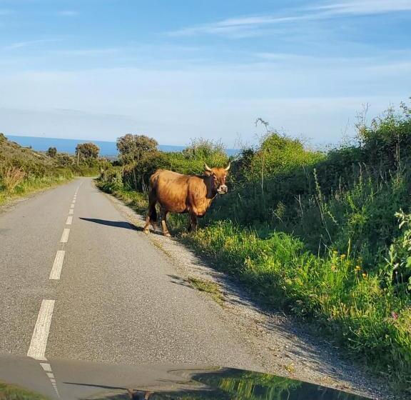 Residence Marina Di Bravone