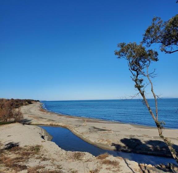Residence Marina Di Bravone