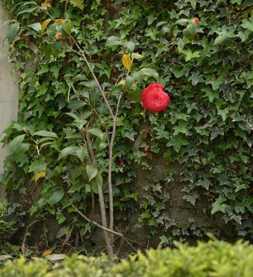 リゾートホテル Kabana De Nature