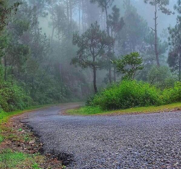 リゾートホテル Kabana De Nature