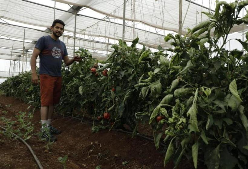 리조트 Rashmi Greenland Agritourism Center,junnar