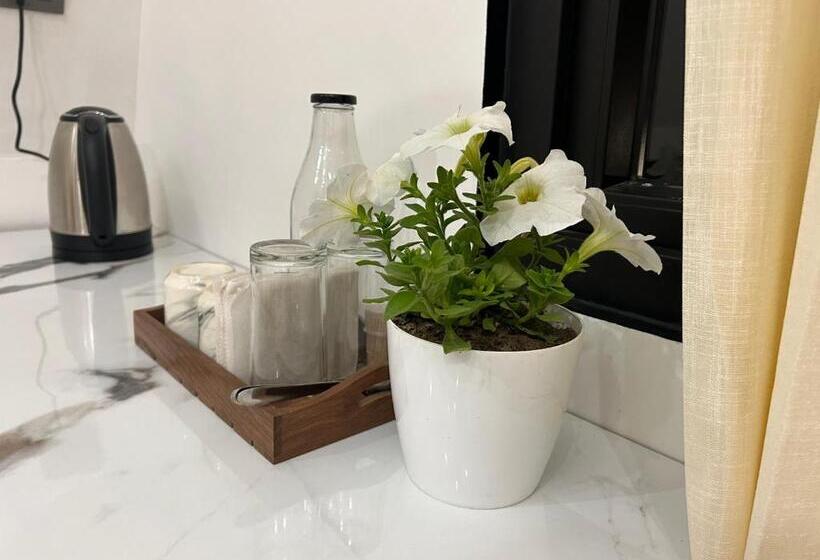 אתר נופש The Alchemist House