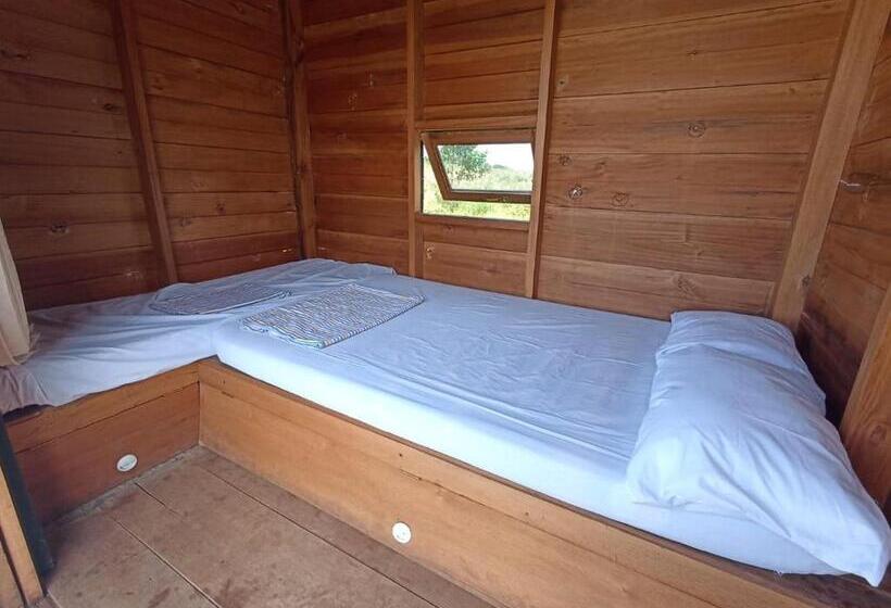 אתר נופש Wawowow