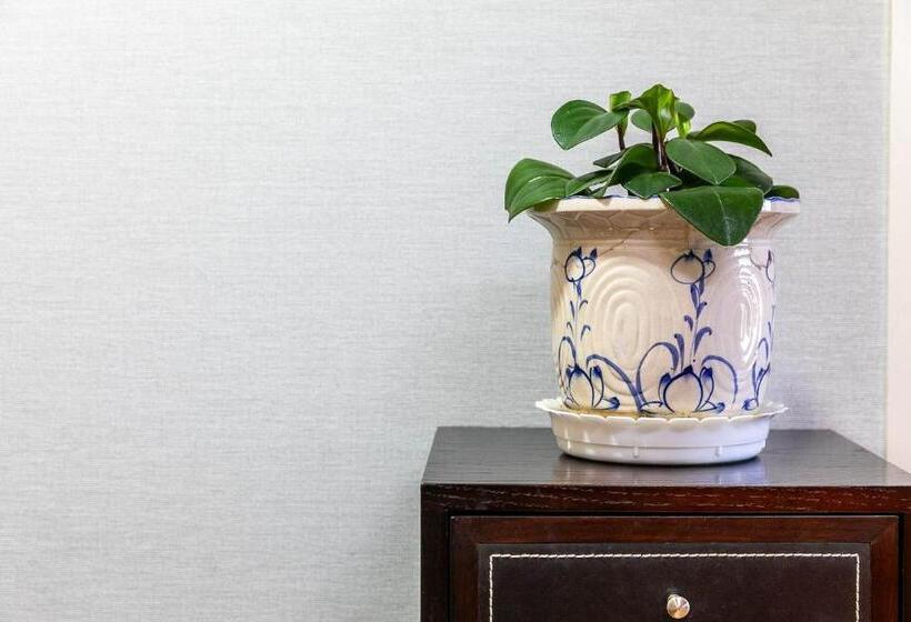 순천만 갈대숲 호스텔