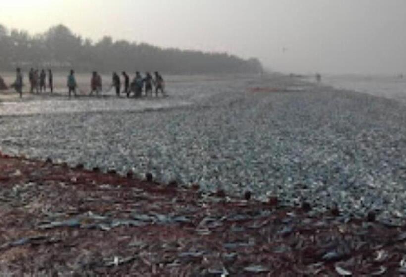 Aatikesh Beach Resort Malvan