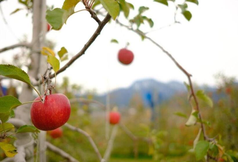 ユースホステル ワールドカリーの館　すぱいすろーど
