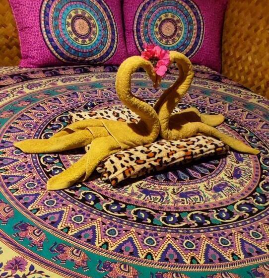 Hostel Castaway Native Huts