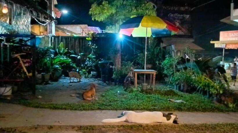 Hostel Castaway Native Huts