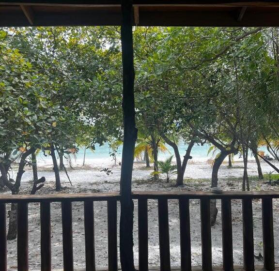 Общежитие Rafikis