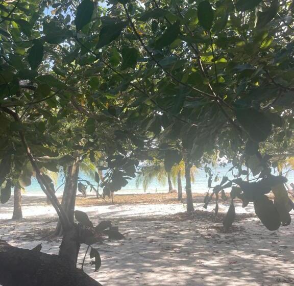 Общежитие Rafikis