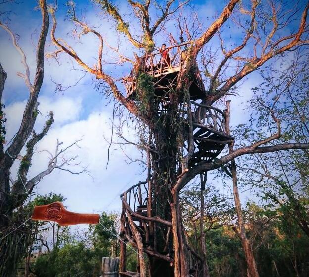 فندق صغير Raindance