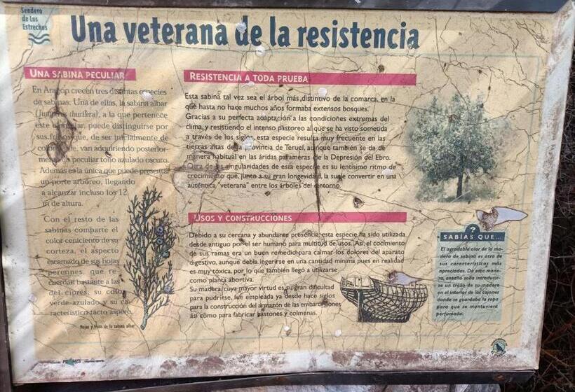 Apartamentos Rurales Fuente Del Peral