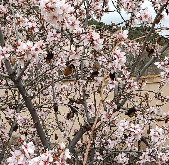 Apartamentos Rurales Fuente Del Peral