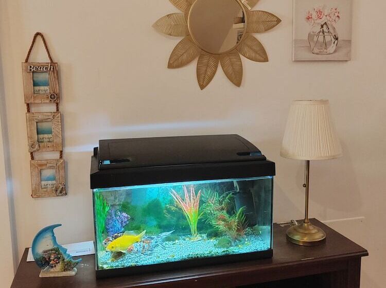 住宿加早餐  Las Salinas House Private Rooms