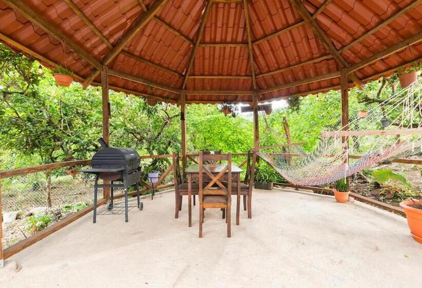 تختخواب و صبحانه Alojamiento En Orosi: Un Pedacito Del Caribe