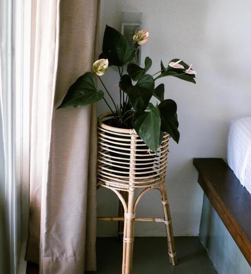 민박 Calma   Surf, Yoga & Coffee On A Private Beach