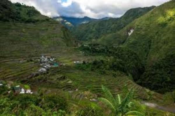 مبيت وإفطار Coree Bed And Free Breakfast And Ifugao Hospitality