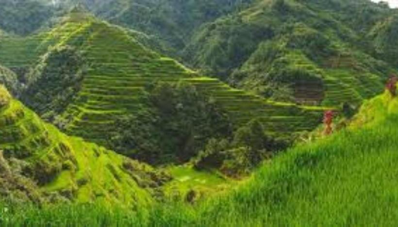 住宿加早餐 Coree Bed And Free Breakfast And Ifugao Hospitality
