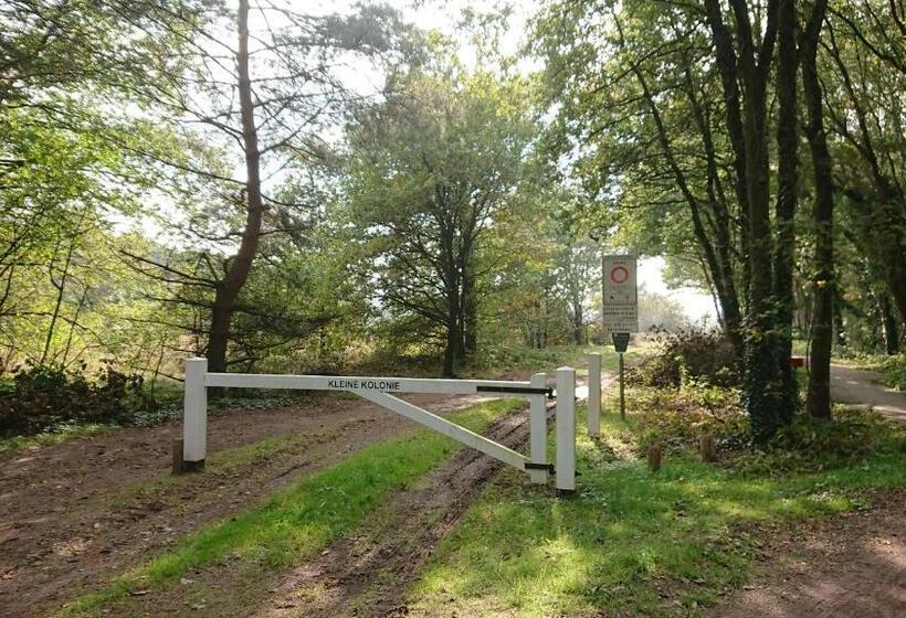 Bed And Breakfast De Kleine Vos