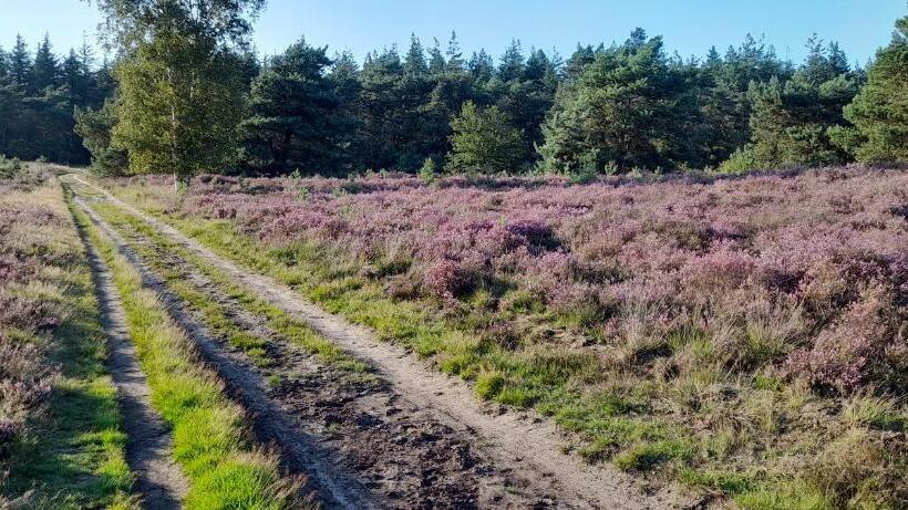 Bed And Breakfast De Kleine Vos