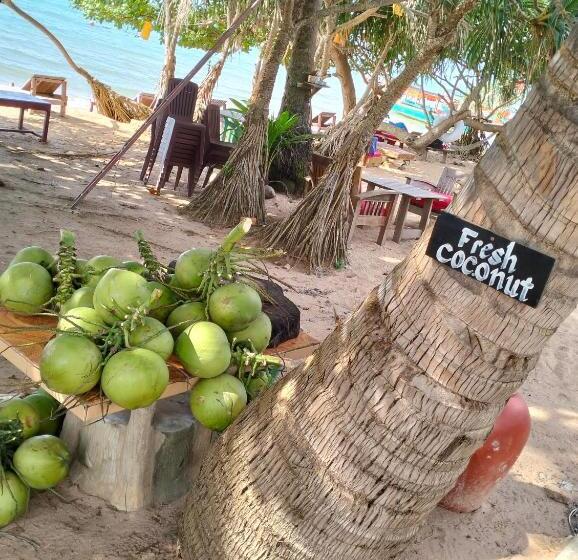 Bed and Breakfast Fat Rabbit Beach Resort