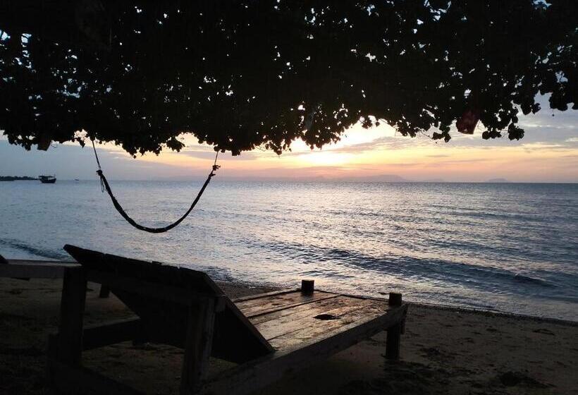 Bed and Breakfast Fat Rabbit Beach Resort