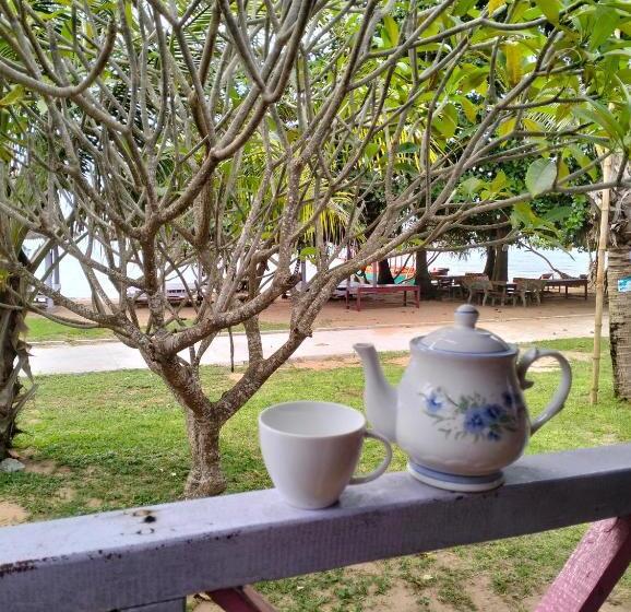 Bed and Breakfast Fat Rabbit Beach Resort