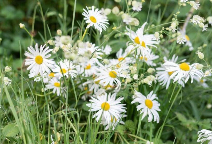 Bed and Breakfast La Bergerie Chambre D Hôtes