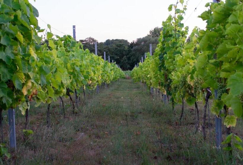 Bed and Breakfast Le Val Du Vieux Chêne Chambre D Hôtes