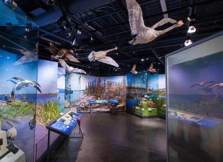 Bed and Breakfast Le Val Du Vieux Chêne Chambre D Hôtes