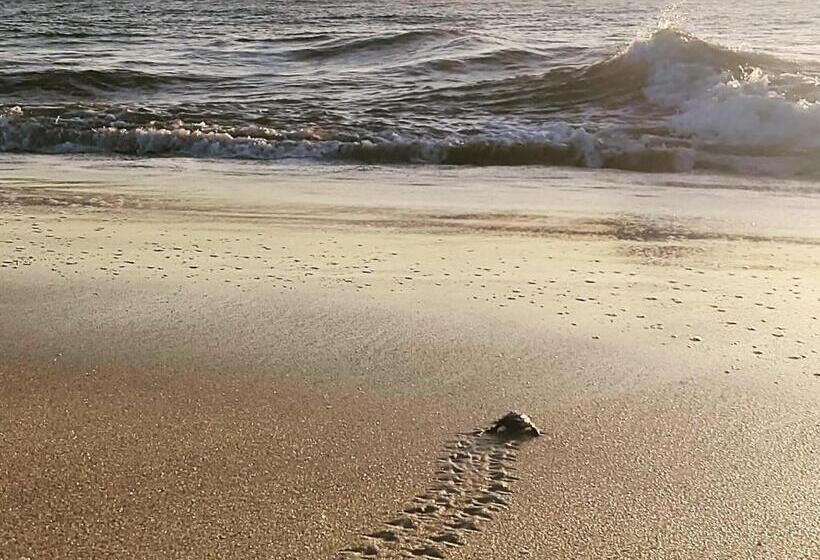 ベッドアンドブレックファースト Ocean Souls Beach House