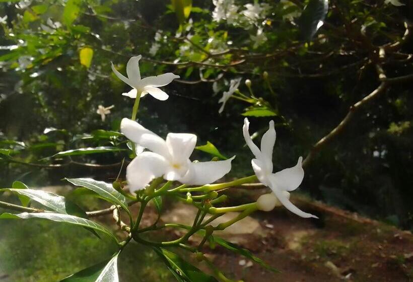 ベッドアンドブレックファースト Rafting