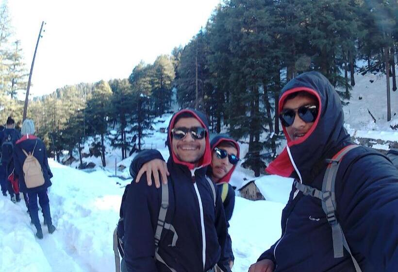 Общежитие Forest Vibes Kalatop Rooms Restaurant