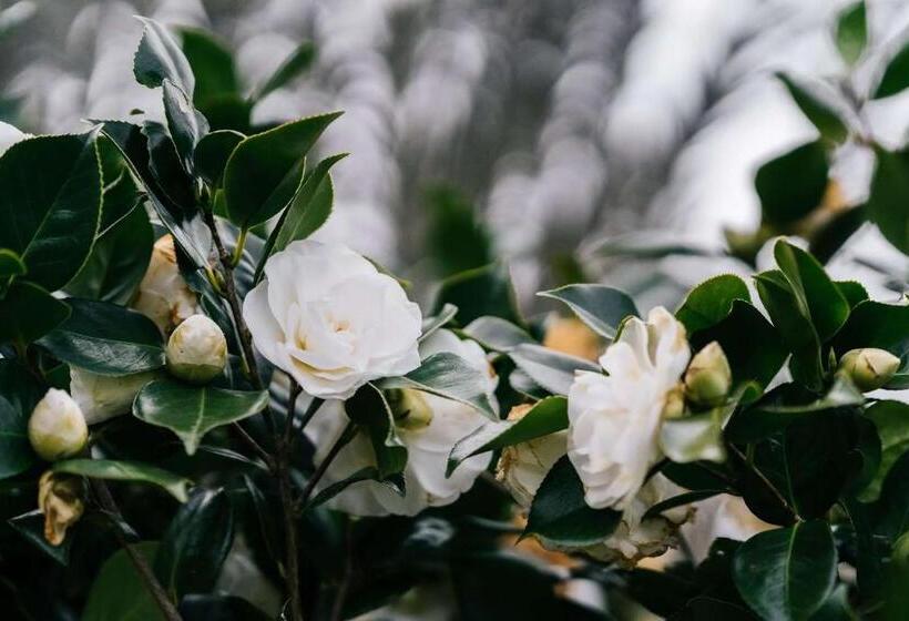 בית מלון כפרי Aubisque, Exeter