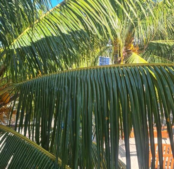 فندق Casa Azul Cielo