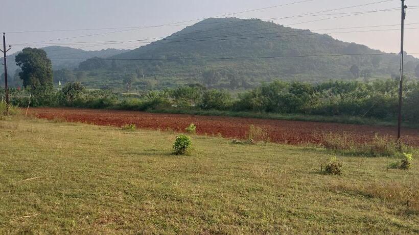 호텔 Bommarillu Farm Stay