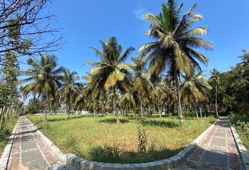 בית מלון כפרי Chakra Farms