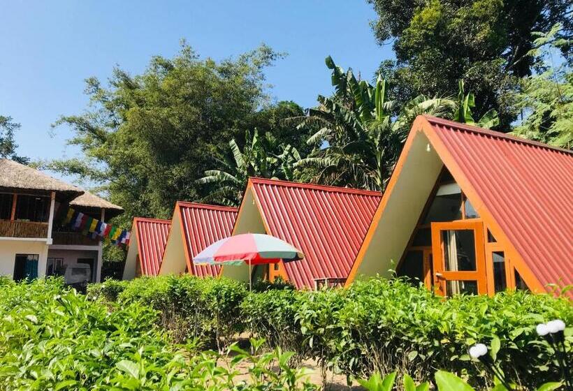 فندق Changmai S Inn