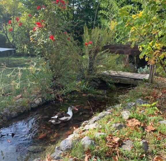 فندق Ciclopark Morano Calabro