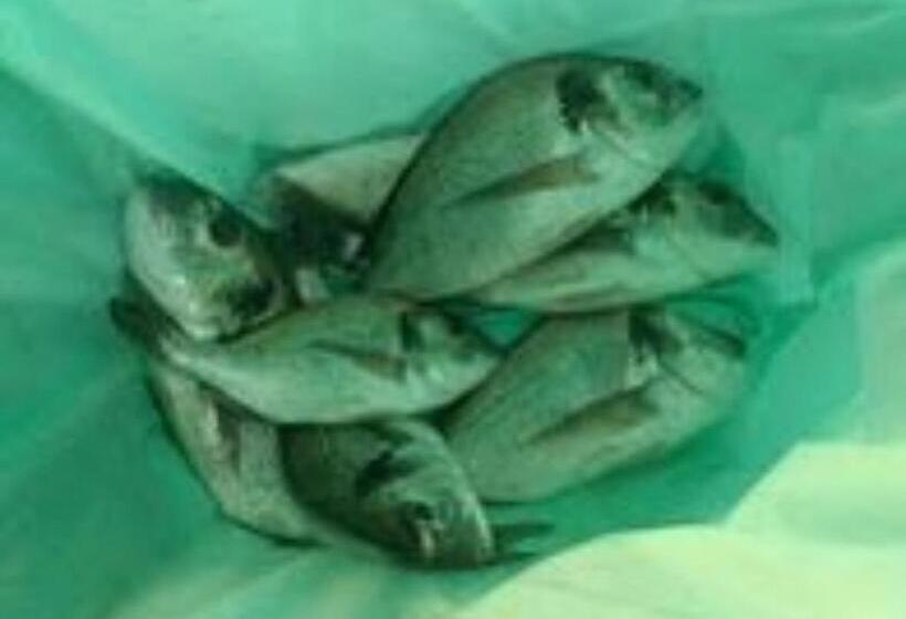 فنادق الكبسولة Fishing Resort Eco Nativo Park