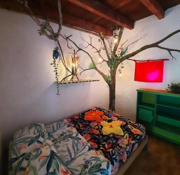 בית מלון כפרי Eco Hostal Tierra De Agua Y Fuego