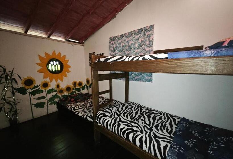 בית מלון כפרי Eco Hostal Tierra De Agua Y Fuego