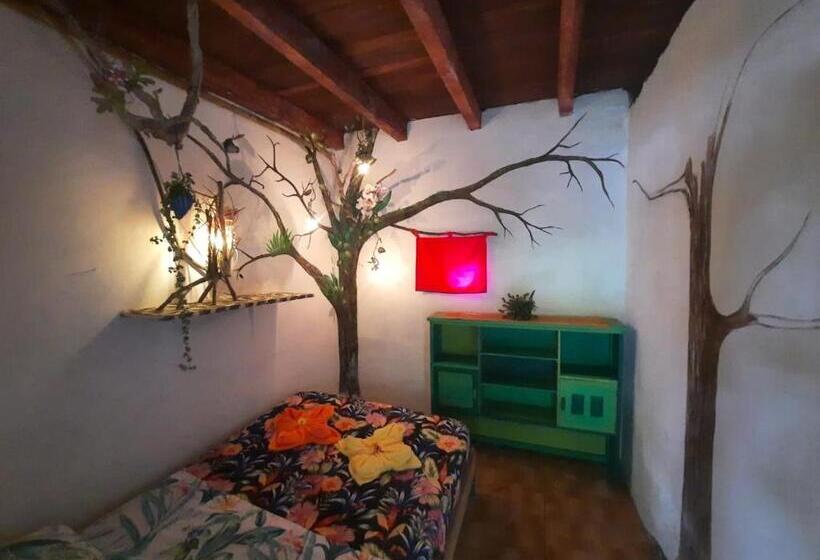 בית מלון כפרי Eco Hostal Tierra De Agua Y Fuego