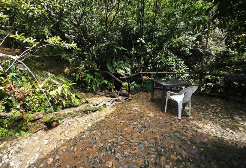 فندق Eco Hostal Tierra De Agua Y Fuego