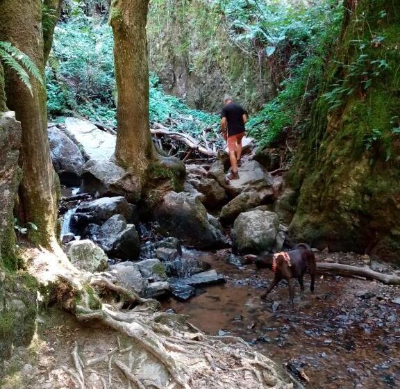 호텔 Gîte La Sarrée