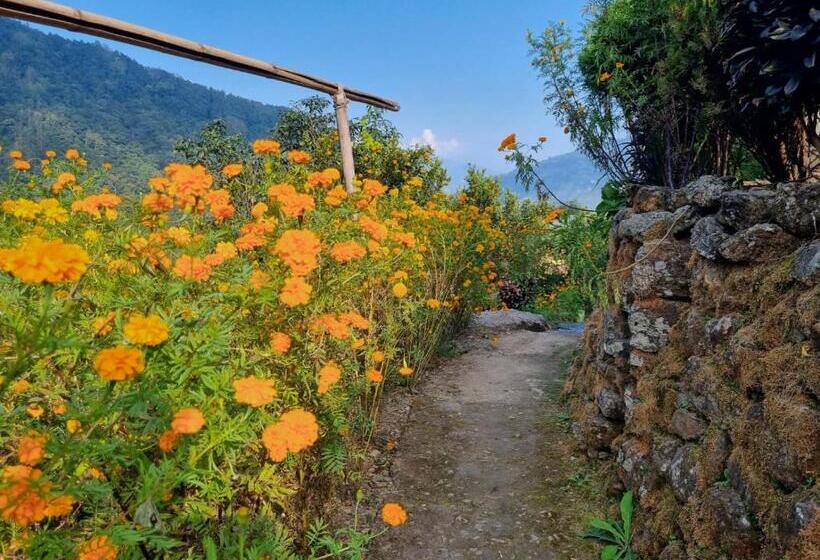 Отель Orange Garden Farmstay