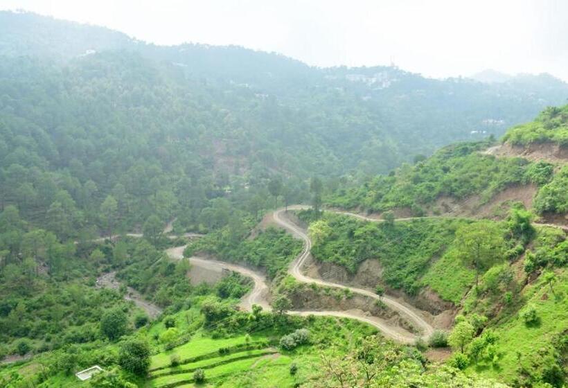 فندق Pleasing Pines