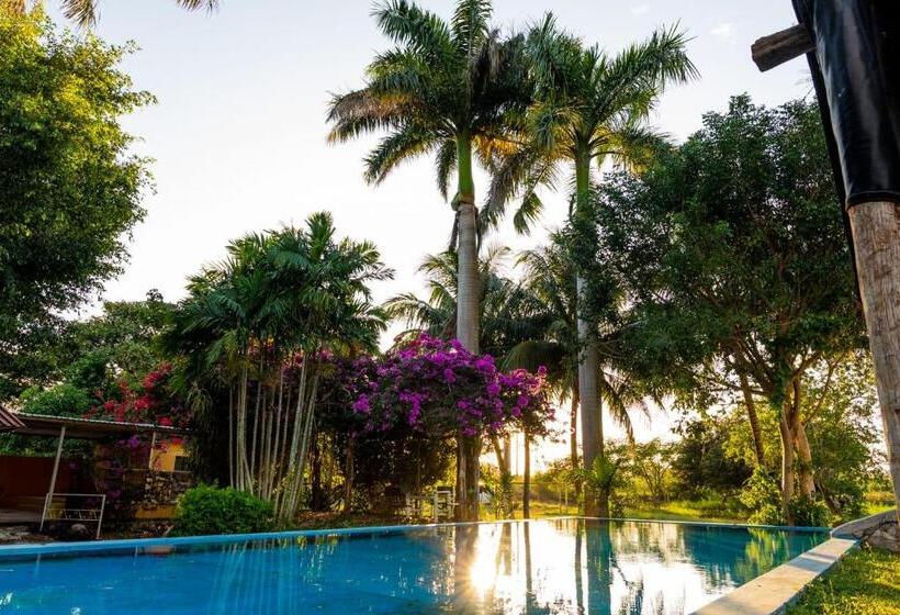 ホテル Posada Barahona